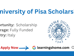 University of Pisa Scholarships