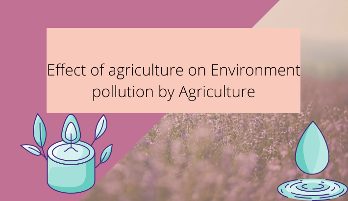 Effect of agriculture on Environment pollution by Agriculture