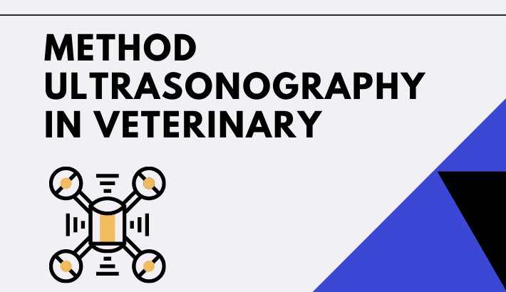 Method Ultrasonography In Veterinary 