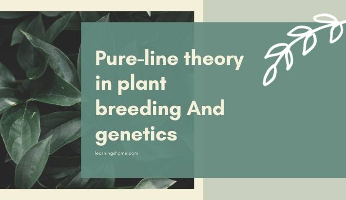 Pure-line theory in plant breeding And genetics (2)