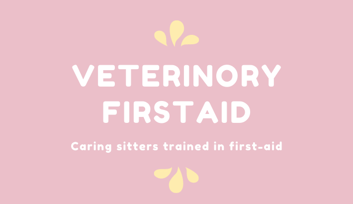 Veterinary Firstaid