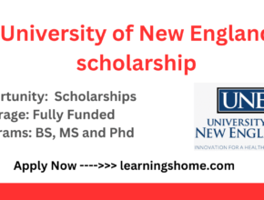 UNE Scholarships for International Students