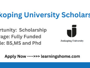 Erasmus + Jonkoping University Scholarship