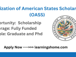 Organization of American States Scholarships