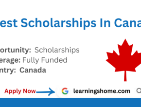 The 5 Best Scholarships In Canada