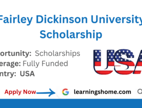 Fairley Dickinson University Scholarship