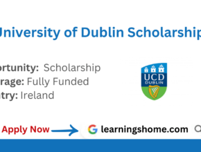 University of Dublin Global International Scholarships