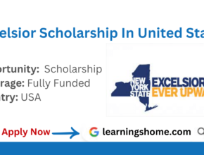 Excelsior Scholarship