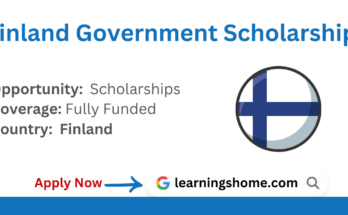 Finland Government Scholarship