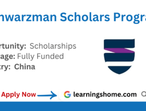 Schwarzman Scholars Program