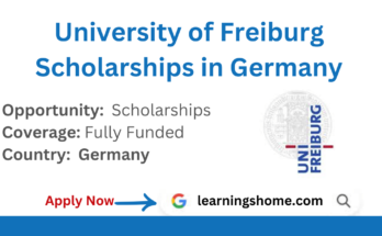 University of Freiburg Scholarships