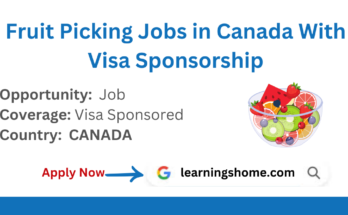 Fruit Picking Jobs in Canada With Visa Sponsorship