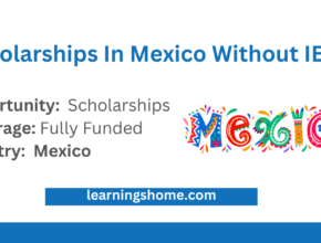 Scholarships In Mexico Without IELTS