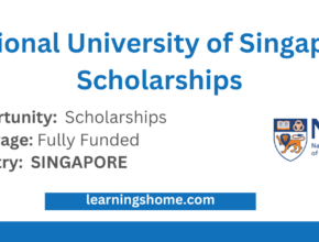 National University of Singapore Scholarships