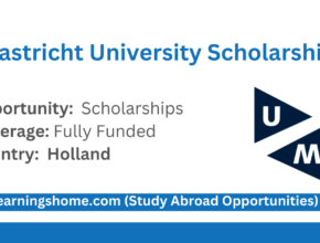 Maastricht University High Potential Scholarships