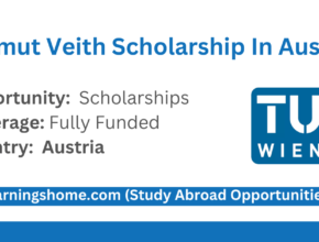 Helmut Veith Scholarship