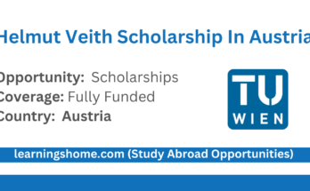 Helmut Veith Scholarship