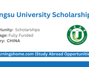 Jiangsu University Scholarships